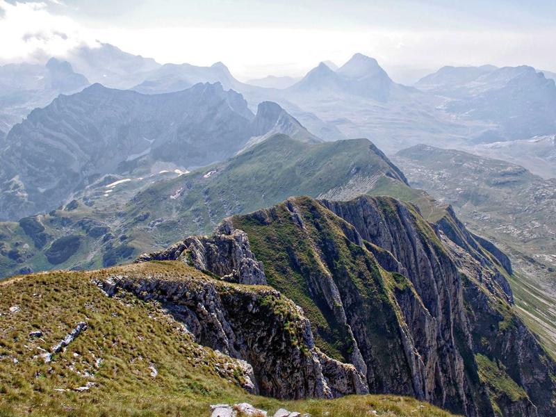 android screenshot 3