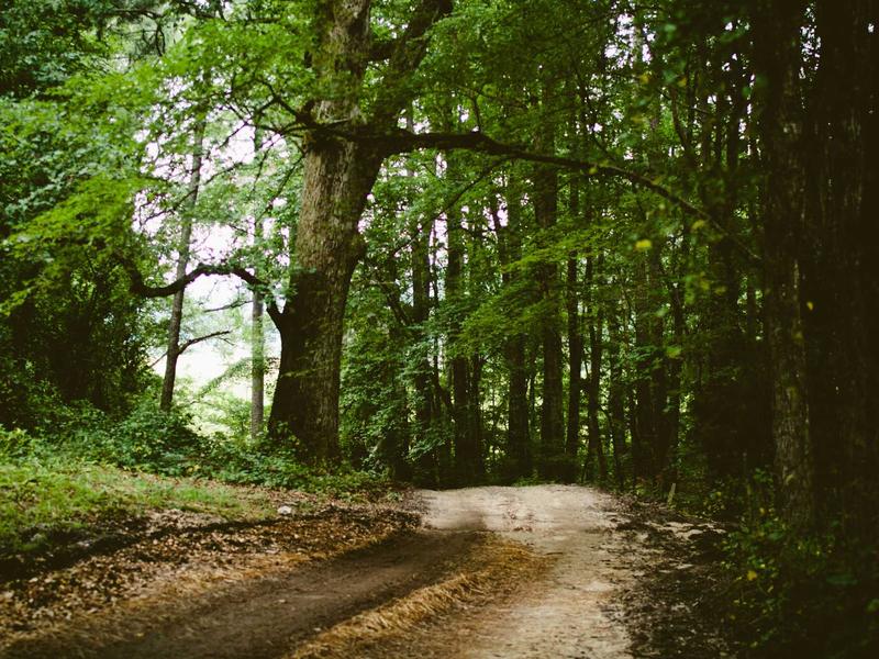 sudoku brain training screenshot 1